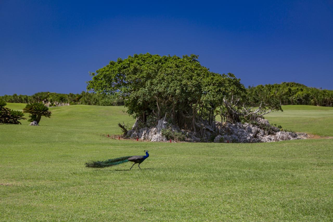 Villa Vorla Miyakojima  Buitenkant foto
